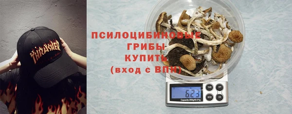 гидра Балахна