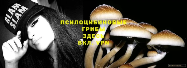 гидра Балахна