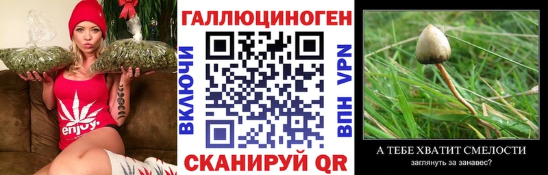 закладки  Ленск  Галлюциногенные грибы MAGIC MUSHROOMS 